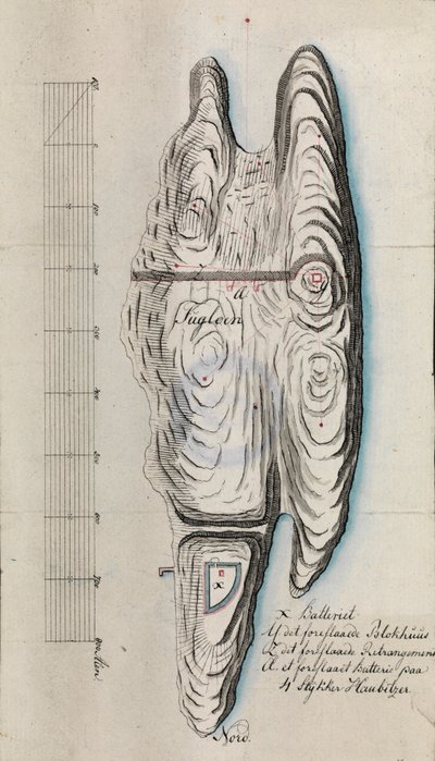 Fugløen - Heinen